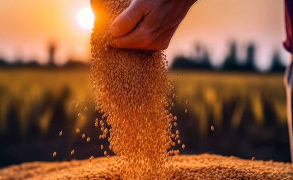 Preparando profesionales para un futuro sostenible