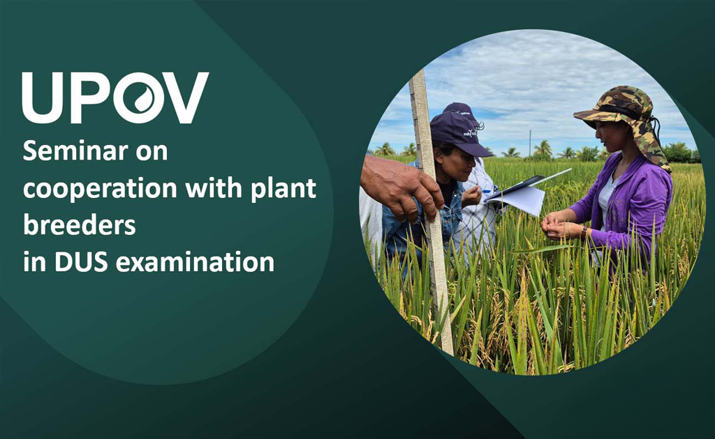 UPOV: Seminario de Cooperación sobre exámenes DHE