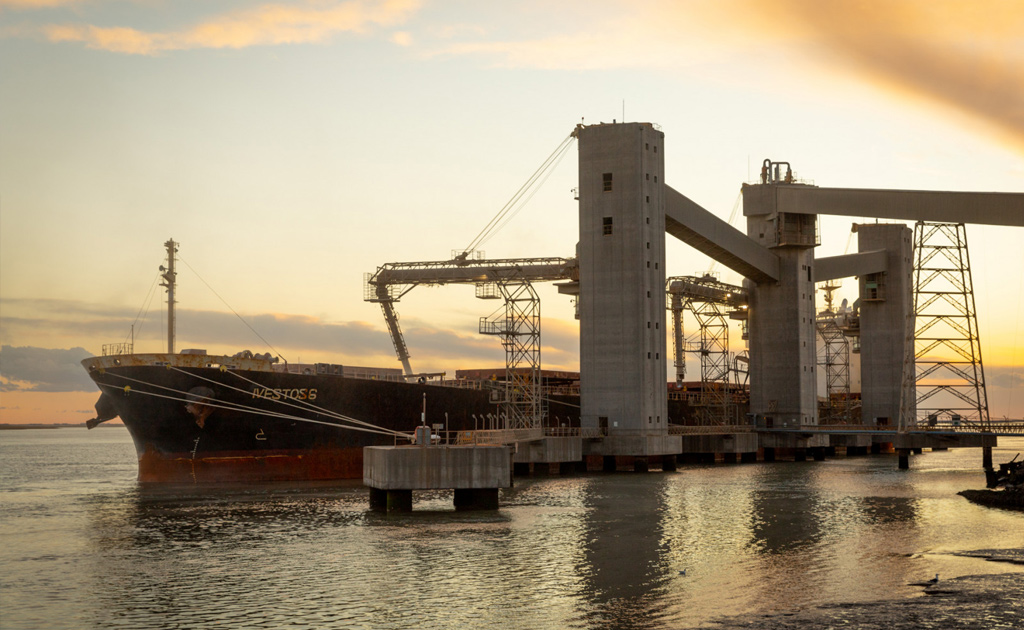 Por una campaña fina con semilla legal