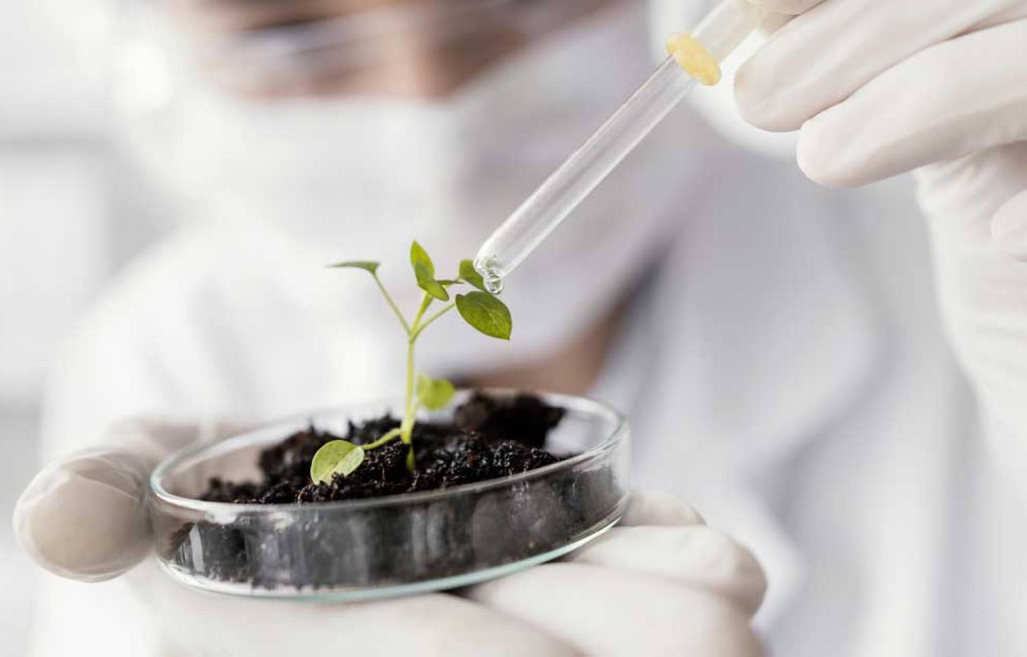 Encuentro de Redes de Biotecnología de Argentina: