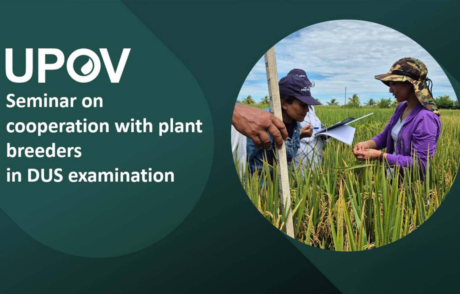 UPOV: Seminario de Cooperación sobre exámenes DHE