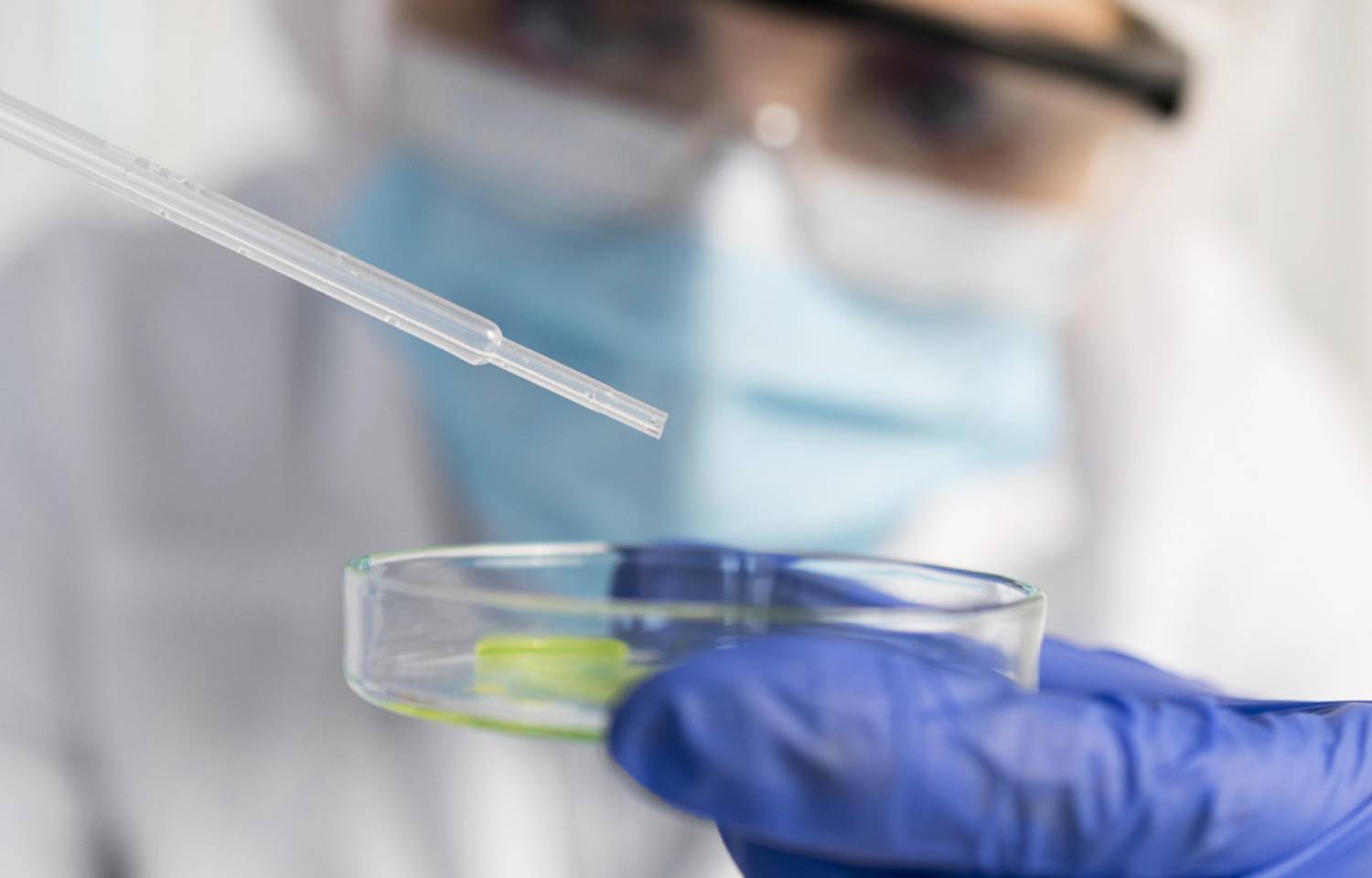 Resolución: Acreditación de Laboratorios de Análisis de Semillas y Habilitación de Muestreadores