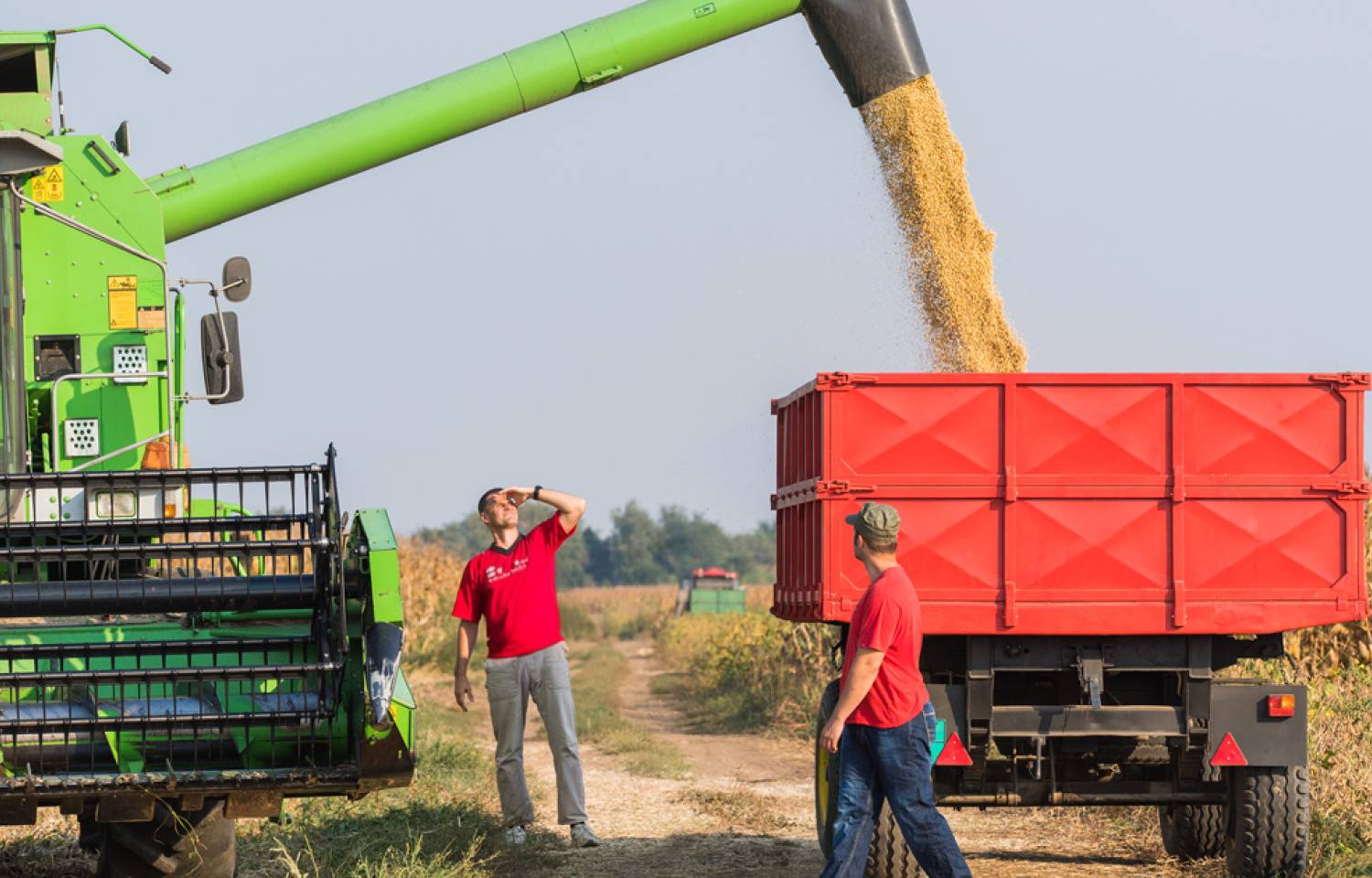 Semillas, fitosanitarios y fertilizantes: las tecnologías que revolucionaron la agricultura en Argentina