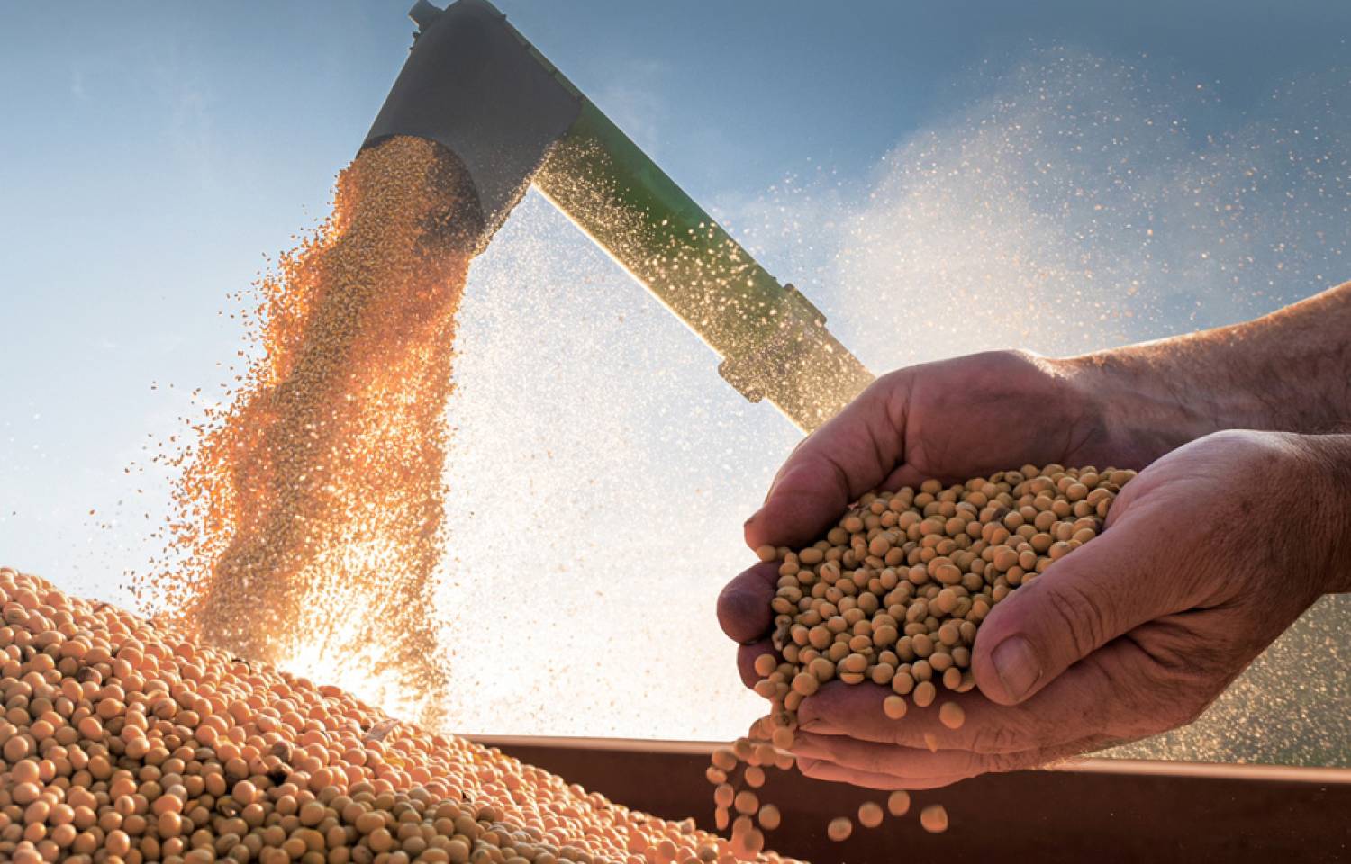 Nueva estructura organizativa del INASE